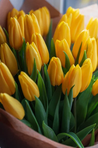 Spring flowers yellow tulips. Women\'s spring day. Delicate bouquet of flowers tulips