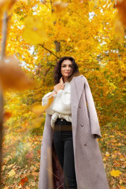 Şık örgü beyaz süveter ve şık ceketli mutlu kıvırcık kadın modeli Sonbahar sarı parkında renkli yeşilliklerle yürüyor