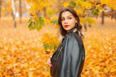 Şık, şık, modaya uygun, kırmızı dudaklı, son moda elbiseli, deri ceketli bir kadın model, sonbahar altın parkında yürüyor.