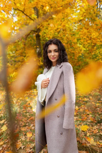 Fashionable beautiful fresh woman with curly hair in a stylish coat with a trendy white knitted sweater walks in a bright fall color park