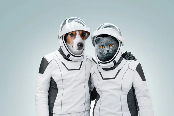 Смешные Собаки Кошки Астронавты Космических Костюмах Обнимаются Стоят Светлом Фоне — стоковое фото