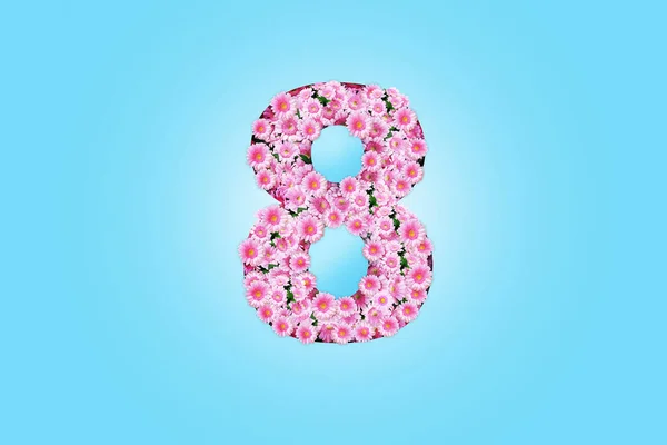 Pink Flowers Chamomile Curtains Shape Blue Background Happy March Cool — 스톡 사진