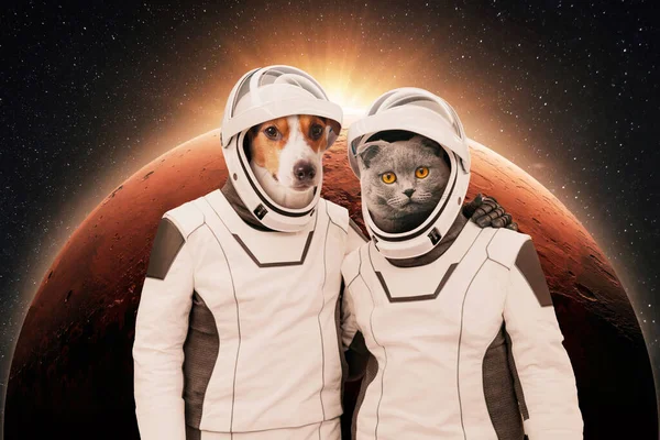 Funny dog and cat astronaut in space suits hug and stand on background of a red planet Mars with sunset. Two pet friends cat and dog adventure together in space. Space mission animals, creative idea