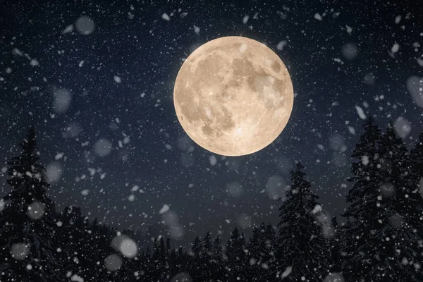 Удивительная Красивая Большая Луна Ночном Небе Звездами Зимним Лесом Снегом — стоковое фото