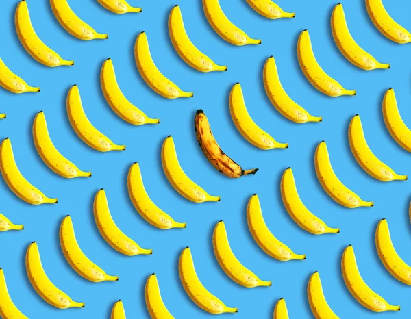 Rotten banana lies among fresh bananas on a blue background, top view. Unique, creative idea. Not like everyone else, concept