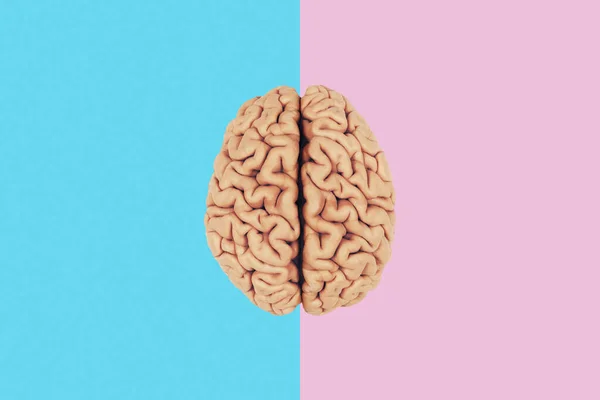 青とピンクの背景にあるクリエイティブな脳 2つの脳半球 創造的なアイデア 違う考え方 コンセプト — ストック写真