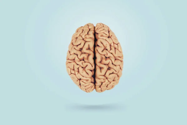 Echt Kreatives Gehirn Auf Blauem Hintergrund Draufsicht Kreative Idee Konzept — Stockfoto