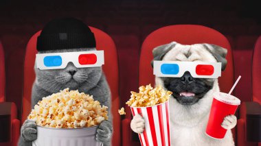 Üç boyutlu gözlüklü iki komik arkadaş kedi ve köpek sinemada oturup film izliyorlar. Birlikte film izliyoruz. Biraz rahatla. Film endüstrisi. Sinema, konsept. Yaratıcı fikir