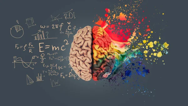 Sol sağ insan beyni konsepti. Yaratıcı ve mantıksal kısmı sosyal ve iş kısmı. Yaratıcı sanat beyni boya sıçramasıyla patlar. Formüllerle matematiksel olarak başarılı zihniyet.