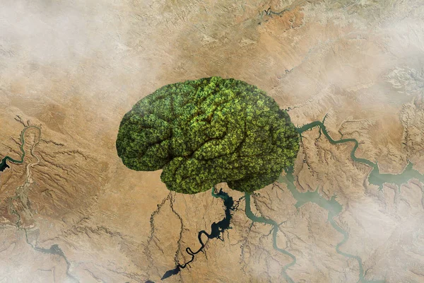 Hersenvormige Bossen Woestijn Vanuit Lucht Bekeken Denk Opwarming Van Aarde — Stockfoto