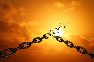 Metal zincirler kırılır ve kuşlar gün batımında gökyüzünde uçar. Özgürlük ve değişim, yaratıcı fikir. Haklar ve hukuk. Liberal. Motivasyon ve umut