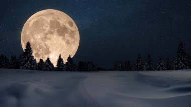 Gece gökyüzünde yıldızlar ve karlı kış ormanıyla muhteşem bir ay. Kış tatili ve gece manzarası. Noel gecesi.