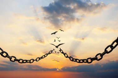 Metal zincirler kırılır ve kuşlar gün batımında gökyüzünde uçar. Özgürlük ve değişim, yaratıcı fikir. Seçim özgürlüğü. Demokrasi motivasyon ve umut