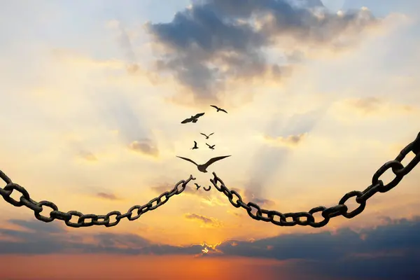 Metal zincirler kırılır ve kuşlar gün batımında gökyüzünde uçar. Özgürlük ve değişim, yaratıcı fikir. Seçim özgürlüğü. Demokrasi motivasyon ve umut