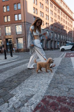 Güçlü ve zarif bir şekilde sokağı piste çeviriyor. Güçlü, modern bir kadın kendine güvenen ve kendine güvenen bir kadın. Kendine güveni tam genç bir kadın pofuduk köpeğiyle gezmekten hoşlanıyor..