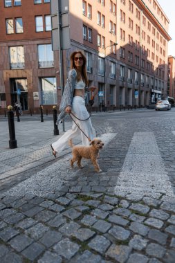 Şehir sakinliği kendine güvenle buluşur. Kadın şehirde sakin ve kendinden emin bir şekilde dolaşır. Cildi ve tarzı tamamen rahattır. Kendine güveni tam genç bir kadın pofuduk köpeğiyle gezmekten hoşlanıyor..