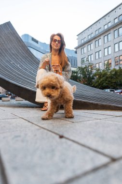 Küçük tüylü köpek şehirde bir yürüyüş sırasında kaldırımı keşfediyor. Arka plandaki sahibi, çevredeki modern binalar. Merak uyandıran samimi bir evcil hayvan sahnesi.