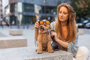 Güneş gözlüklü tüylü köpek yakınlarda sahibi olan taştan bir bankta rahat görünüyor. Yaz titreşimleri, evcil hayvan aşkı ve modern yaşam tarzı tek bir görüntüde.