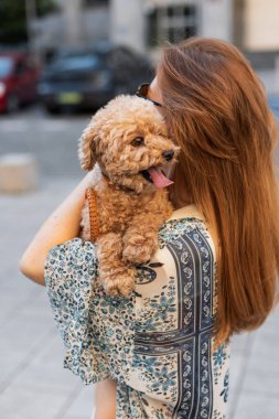 Güneşli bir sokakta neşeli oyuncak kanişini kucaklayan bir kadının yakın çekimi. Altın saat ışıltısı ve arka planda Bokeh şehri. Şehirdeki kadın ve tapılası köpeği arasındaki sevgi dolu an..