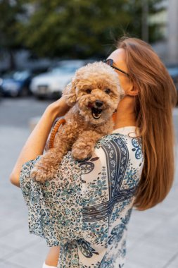 Sakin bir şehir sokağında elinde mutlu kanişini tutan bir kadının arka görüntüsü. Yumuşak günbatımı ışığı, bağlarını ve huzurlu şehir atmosferini vurgular. Kadının kollarında neşeli kıvırcık köpek, dili dışarıda ve heyecanlı