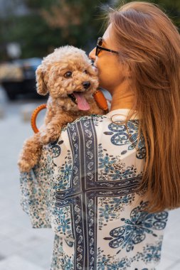 Uzun saçlı bir kadının tuttuğu gülümseyen oyuncak kaniş şehirde güneşli bir yürüyüşün tadını çıkarıyor. Sıcak, mutlu bir evcil hayvan sevgisi anı altın saatte yakalanır..