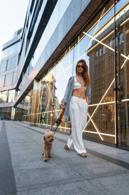 Moda kadını tüylü köpeğiyle yürüyüşe çıkıyor. Kentsel çevre, yansıtıcı pencereler, modern moda ve evcil hayvan arkadaşlığı.