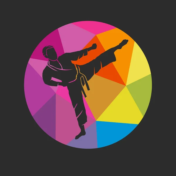 Martial Art Sport Graphic Use Template Flyer Use Web Design — Stockvektor