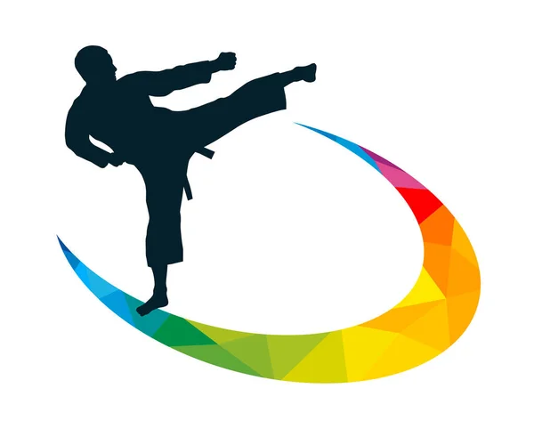 Martial Art Sport Graphic Use Template Flyer Use Web Design — Stockový vektor