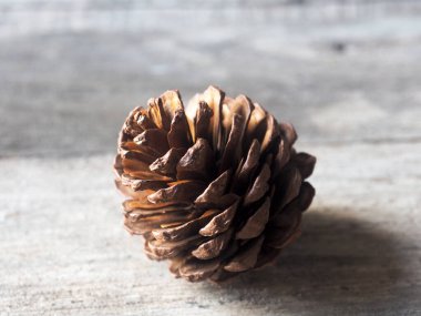 Noel ve yeni yılda ev dekorasyonu için çam kozalağı ve ağaç kurur. 