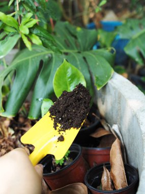 Bahçe işçisinde ağaç dikmek için kırmızı ve sarı renkli toprak kaşık
