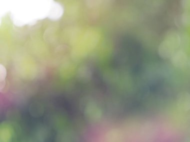 Bokeh bulanık arkaplan Renkli ve tatlı ışık