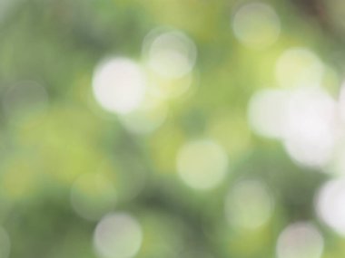 Bokeh bulanık arkaplan Renkli ve tatlı ışık