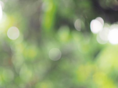 Bokeh bulanık arkaplan Renkli ve tatlı ışık