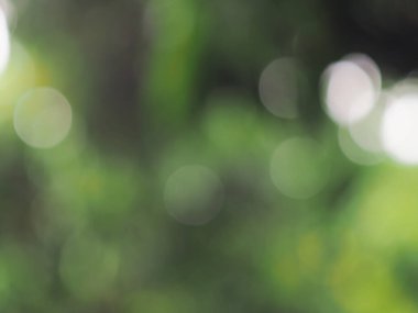 Bokeh bulanık arkaplan Renkli ve tatlı ışık