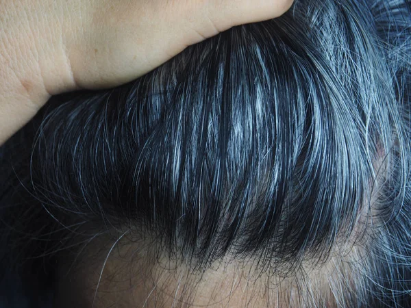 Siwe Włosy Zbliżenie Styl Tło Szary — Zdjęcie stockowe