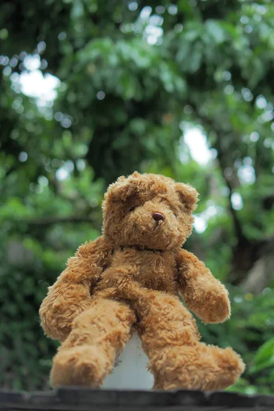 Teddybär Puppe Garten Und Grünen Bokeh Hintergrund — Stockfoto