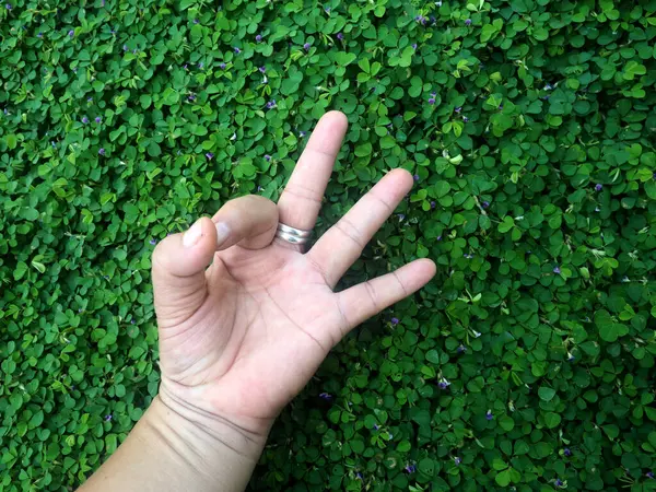 human hand and foot sign on green grass background four leaf cover