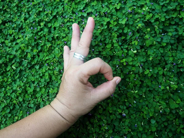 human hand and foot sign on green grass background four leaf cover