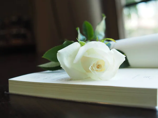 white rose on table book and blur background  rose gift