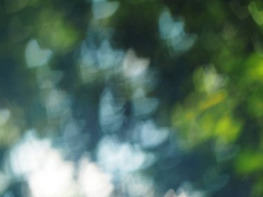 kalp bokeh bulanık yeşil arkaplan