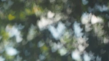 ufuk ışık bokeh arka plan