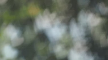 soyut bokeh arkaplan hareketli kalp sherp of bokeh