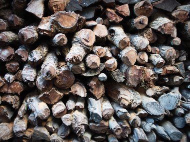 Kışın kuru odunların arka planı