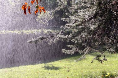 Doğanın güzel manzarası