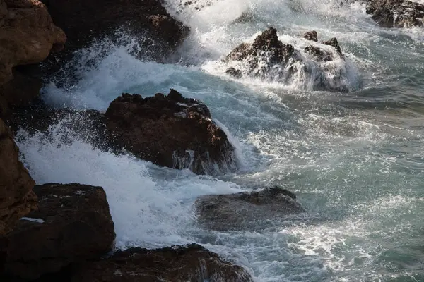 Dalgalar kayalık bir sahile çarpıyor.