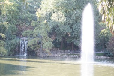 Parktaki güzel şelale