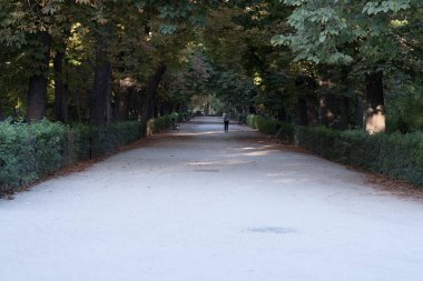 Şehrin en güzel parkı.