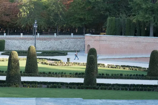 Şehir parkında güzel bir ağaç manzarası.