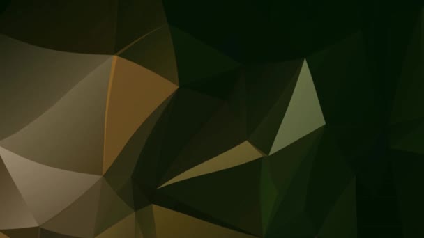 多角形の幾何学的表面効果背景ビデオ 幾何学的なポリ三角形の動きの背景 流体芸術の描画ビデオ 多角形テクスチャビデオ 抽象的なアクリルの質感とカラフルな — ストック動画