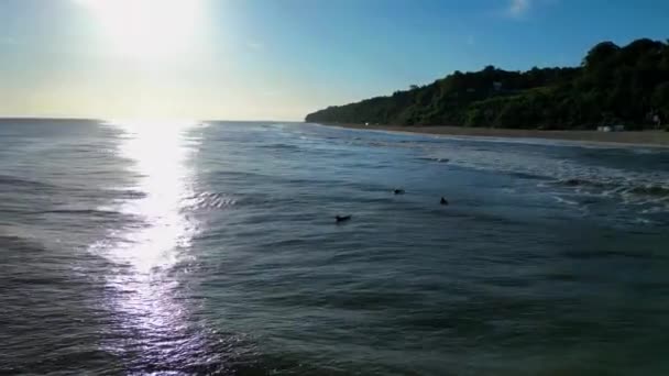 Przeżyj Dreszczyk Porannego Surfingu Rześkim Orzeźwiającym Oceanie Latem Oglądaj Surferów — Wideo stockowe